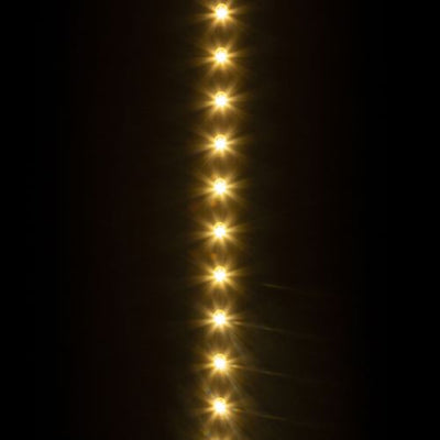 LED strip with remote
