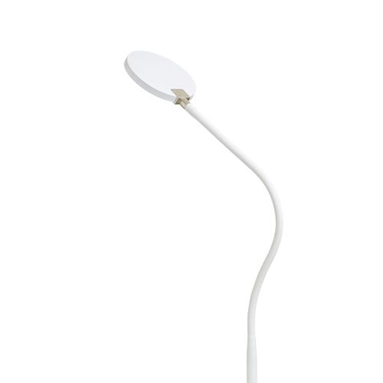 Dimmable LED floor lamps