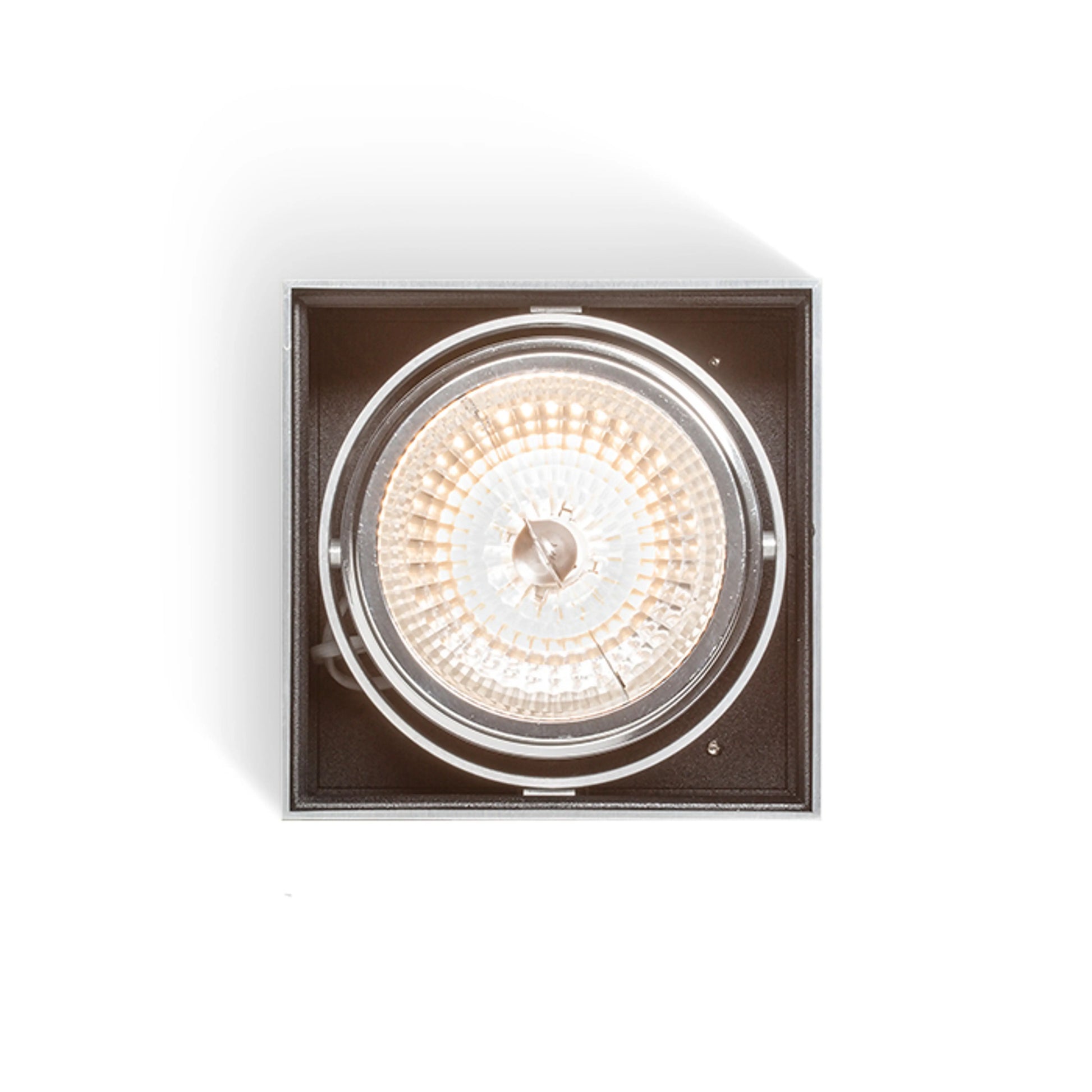 RENDL surface mounted lamp DEAN I   brushed aluminum 230V/12V G53 50W R10610 6