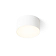 LARISA R 12 CEILING